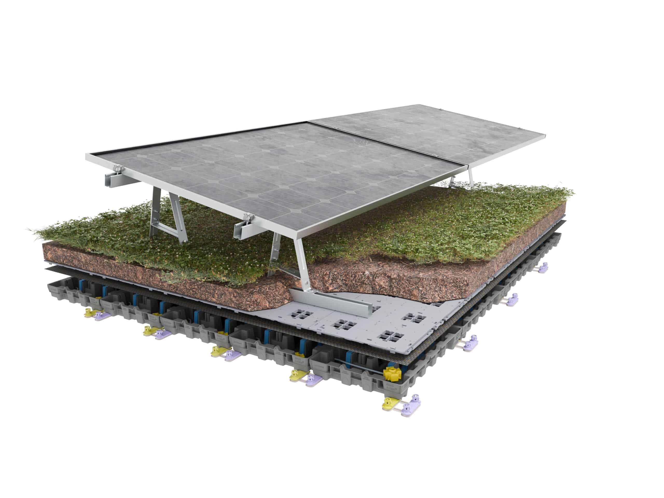 OASIS BIOSOLAR