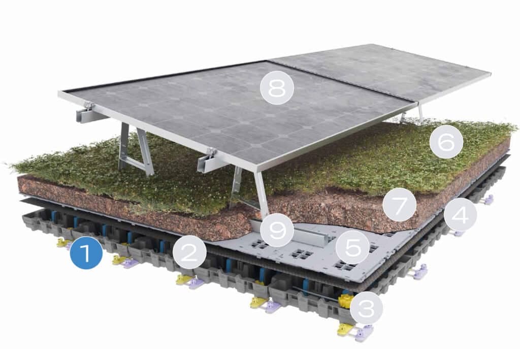 OASIS BIOSOLAR