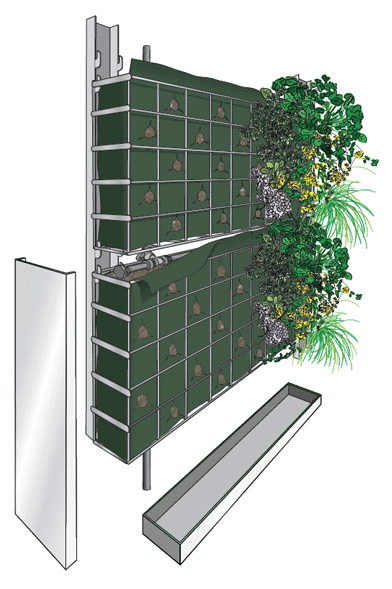 VEGETALISATION DE FACADE