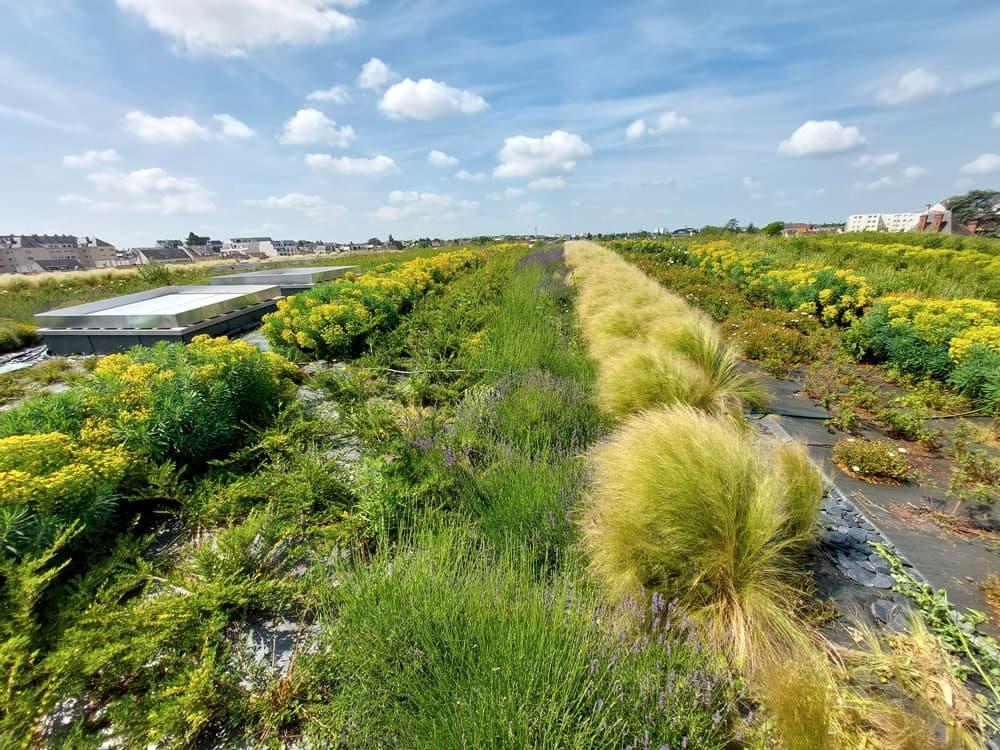 CREA PAYSAGE