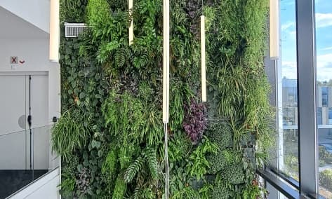 VEGETALISATION INTERIEURE